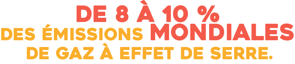 imgimpact